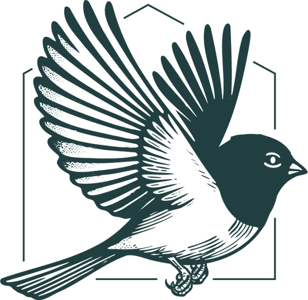 The LikeJunco junco bird